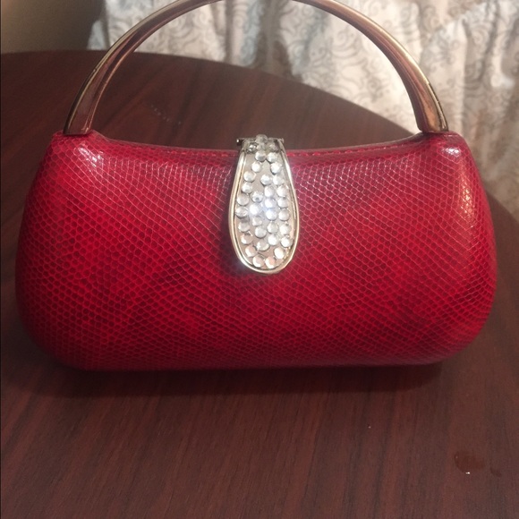 Beautiful Evening Bag