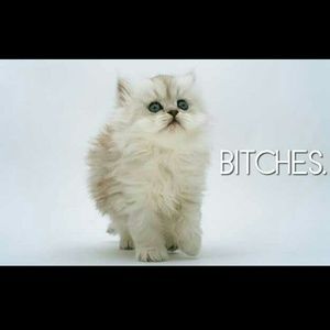 Meet your Posher, Christy