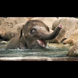 Meet your Posher, Kim