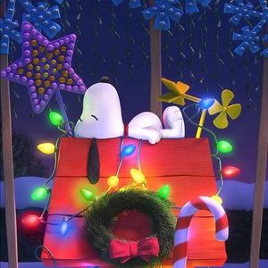 Meet your Posher, Deb