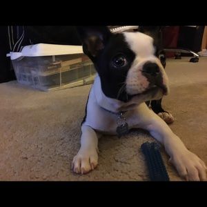 Meet your Posher, Mike