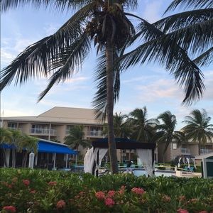 Meet your Posher, Evril