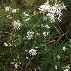 Meet your Posher, Takwa