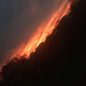 Meet your Posher, Douglas