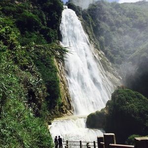 Meet your Posher, Dalia