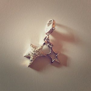 Swarovski Flicker Charm