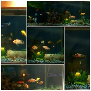 Meet your Posher, Crystal