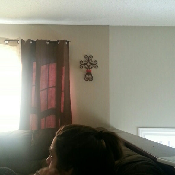 Meet your Posher, Daphne - Picture 1 of 1