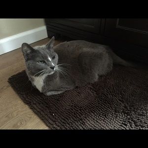 Meet your Posher, Jana