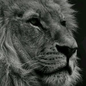 Meet your Posher, Ari