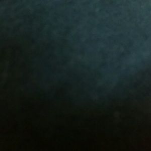 Meet your Posher, Bee