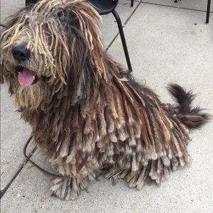 Meet your Posher, Lori