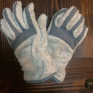 Denali thermal gloves: Northface furry gloves