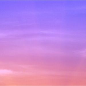 Meet your Posher, Bianca