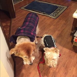 Meet your Posher, Suzanne