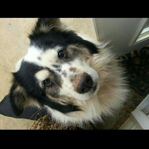 Meet your Posher, Rebekah