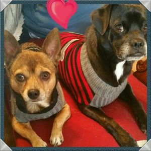 Meet your Posher, Celia