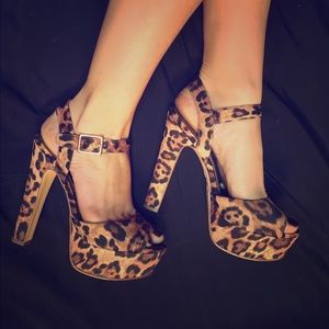Cheetah Platforms