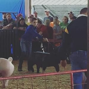 Meet your Posher, Hannah