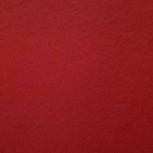 Meet your Posher, Anita