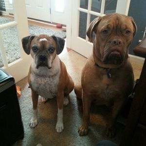 Meet your Posher, Jaime