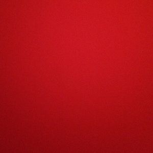 Meet your Posher, Audrey