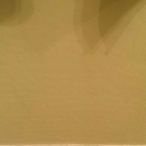 Meet your Posher, Wendy