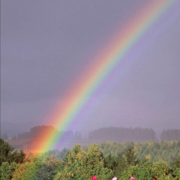 Meet your Posher, Teresa - Picture 1 of 1