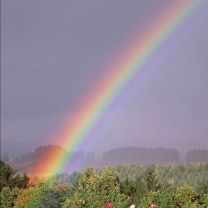 Meet your Posher, Teresa