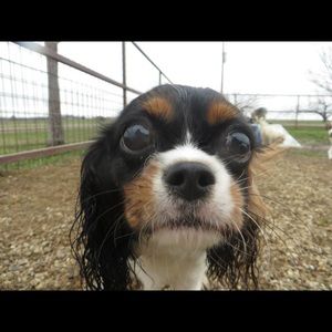 Meet your Posher, Heather