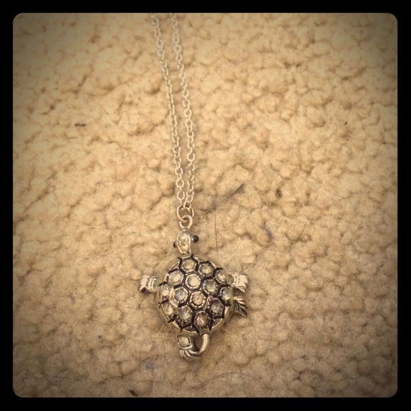 Turtle necklace