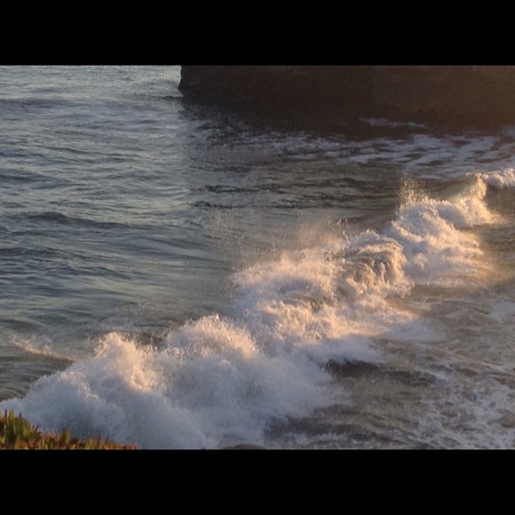 Meet your Posher, Gina - Picture 1 of 1