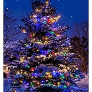 Meet your Posher, Linh