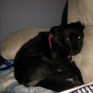 Meet your Posher, Michelle