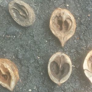 Meet your Posher, Colleen