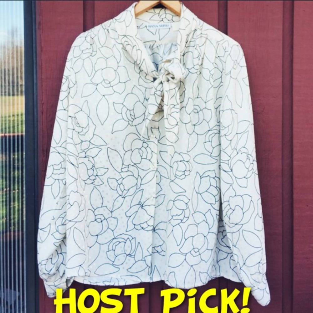 ⭐️HOST PICK⭐️ Hana Sung vintage blouse