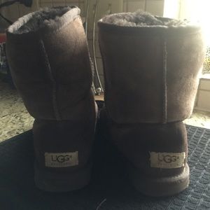 Brown classic short uggs