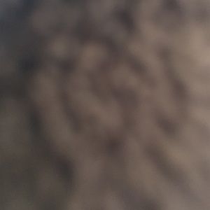 Meet your Posher, Max