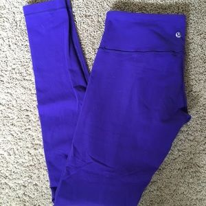 Bright purple wunderunders