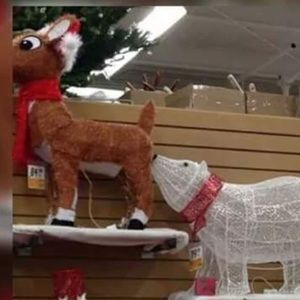 Meet your Posher, Luis