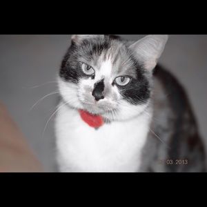 Meet your Posher, Aimee