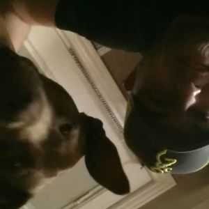 Meet your Posher, John