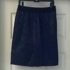 Ann Taylor Skirt