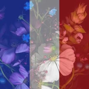 Meet your Posher, Betsy