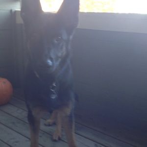 Meet your Posher, Kaitlin