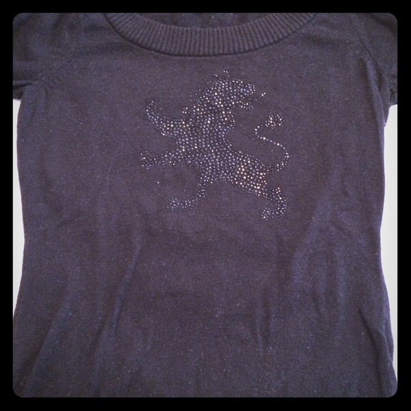 Express sweater top