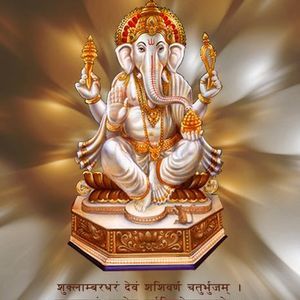 Meet your Posher, Anu