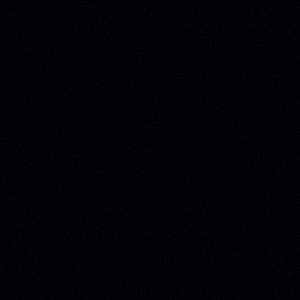 Meet your Posher, Shayna