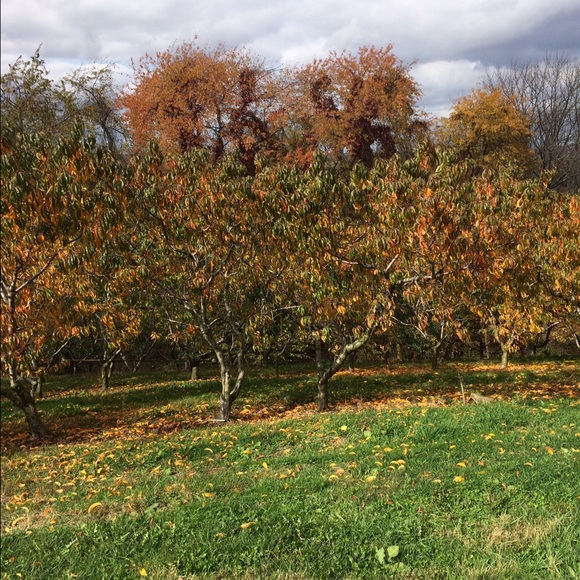 Meet your Posher, Ali