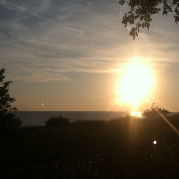 Meet your Posher, Sydney - Picture 1 of 1